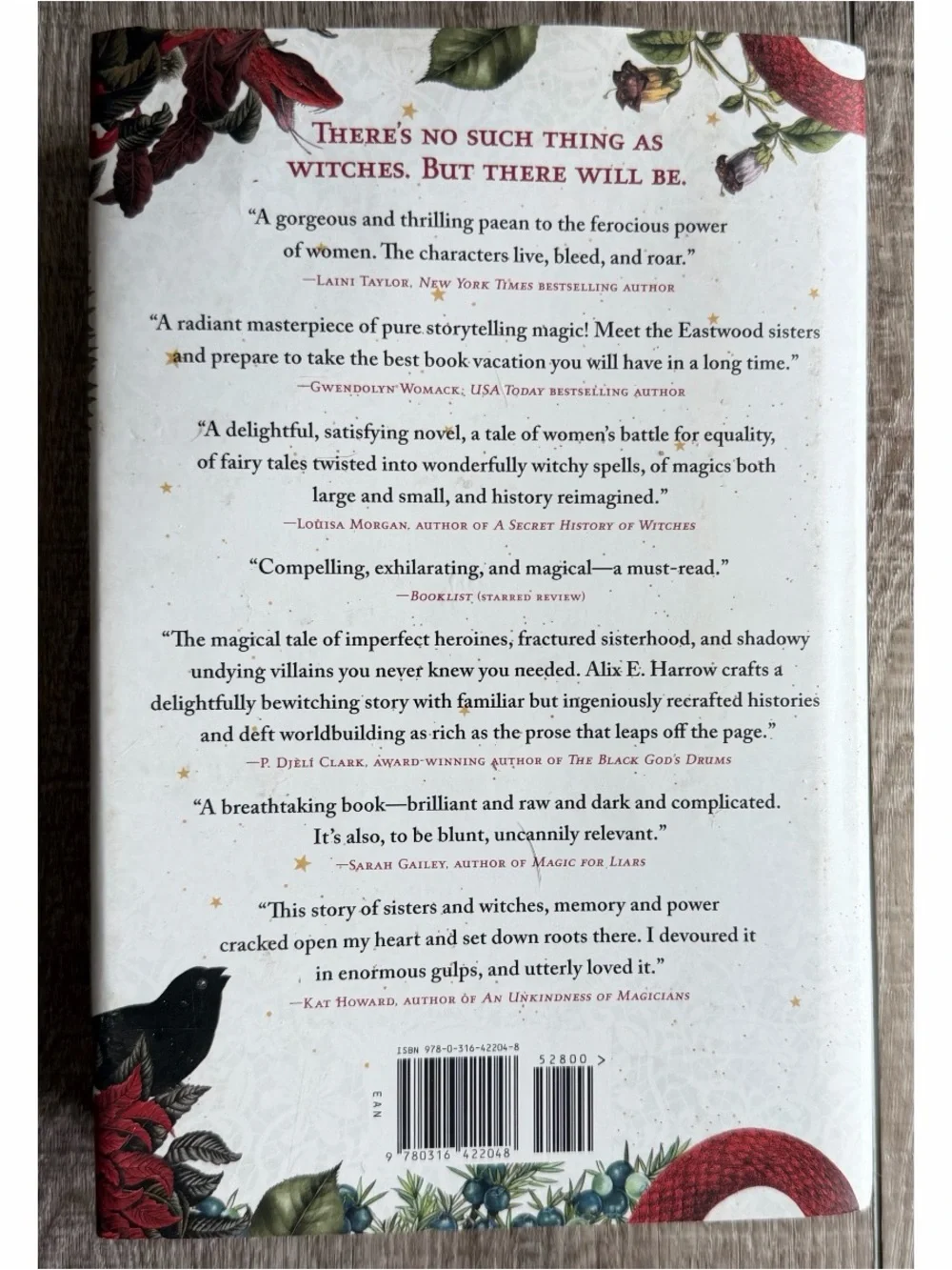 The Once and Future Witches